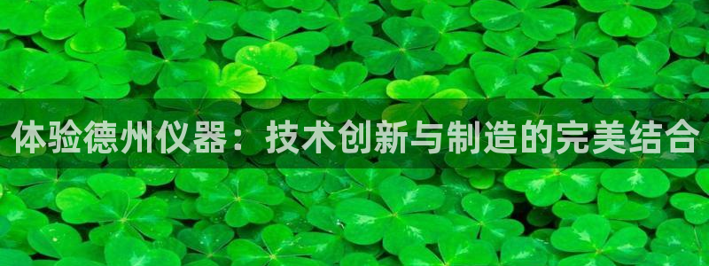 恒指5行情 如来再我心：体验德州仪器：技术创新与制造的完美结