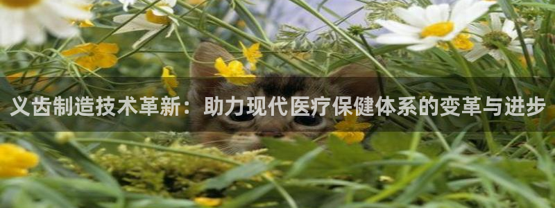 恒行2卫74OOO5：义齿制造技术革新：助力现代医疗保健体系