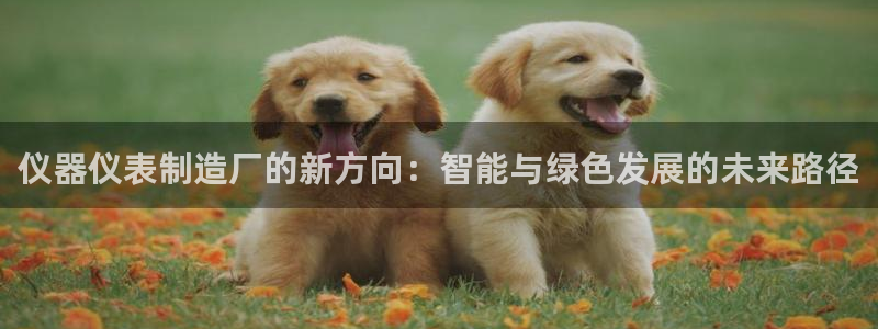 恒行2沈74OOO5：仪器仪表制造厂的新方向：智能与绿色发展