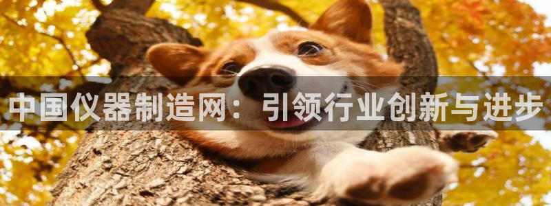 恒在5行中代表什么数字：中国仪器制造网：引领行业创新与进步