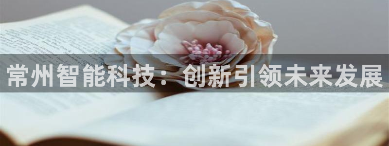 恒行娱乐冯74OOO5：常州智能科技：创新引领未来发展