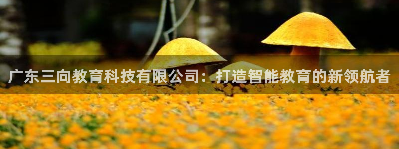 恒行5娱乐