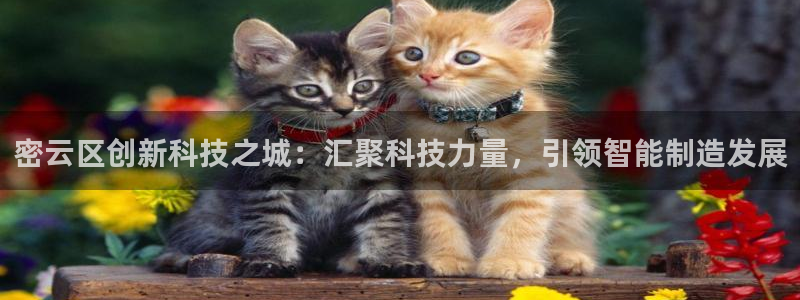 恒行2韩74OOO5