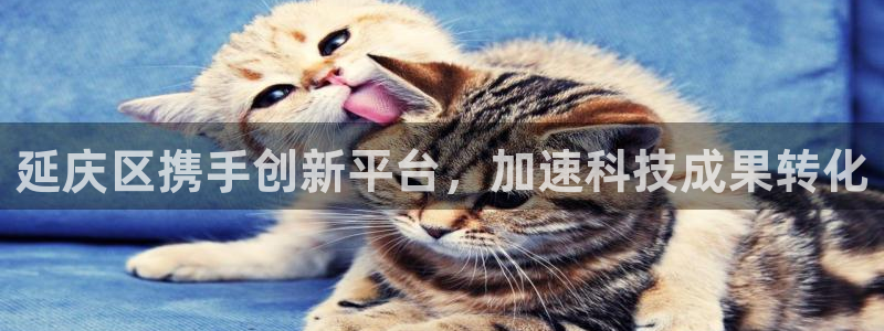恒行2下74OO5